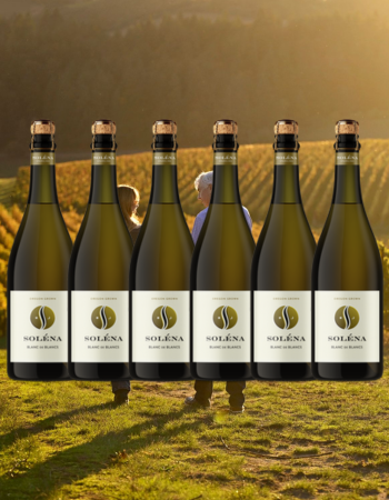 2020 Blanc de Blancs 6 Pack