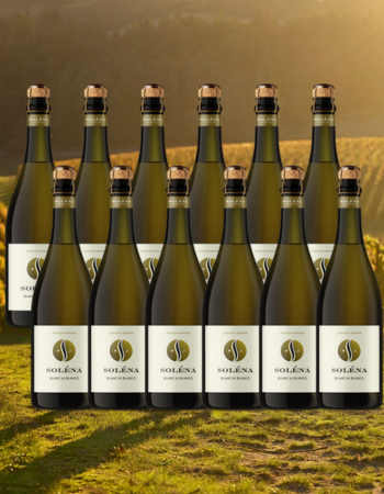 2020 Blanc de Blancs Case Special