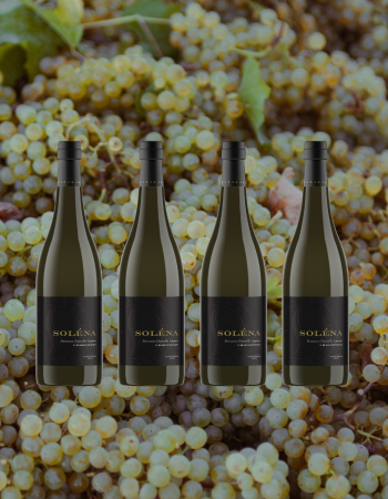 Chardonnay 4 Pack