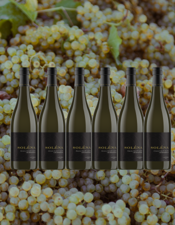 Chardonnay 6 Pack