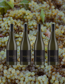 Chardonnay 4 Pack