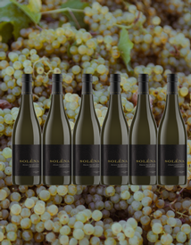 Chardonnay 6 Pack